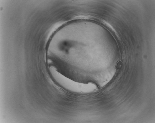 X0000075891323200610062043