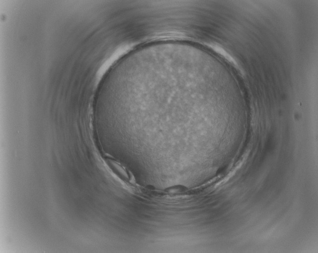 X0000075891325200610062043