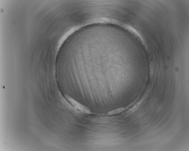 X0000075891326200610062043