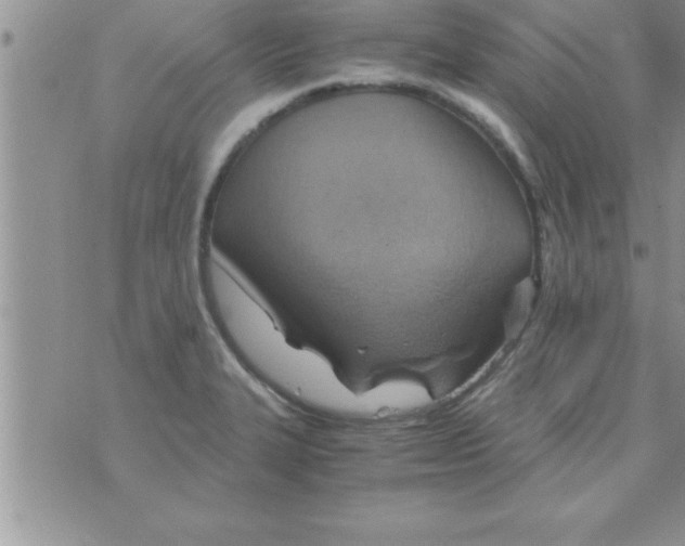 X0000075891327200610062043