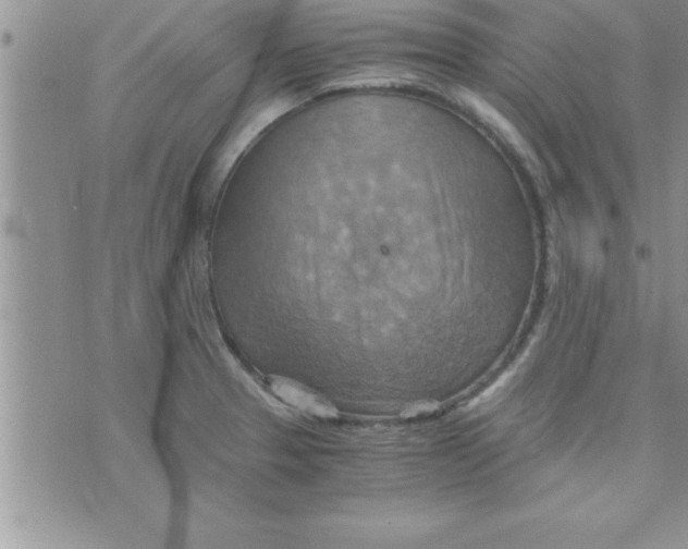 X0000075891329200610062043