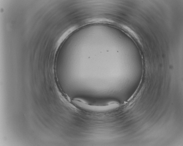 X0000075891330200610062043