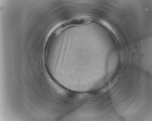 X0000075891331200610062043