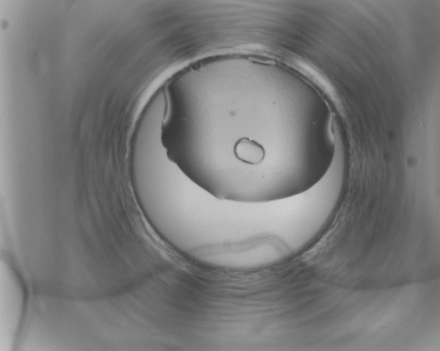 X0000075891332200610062043