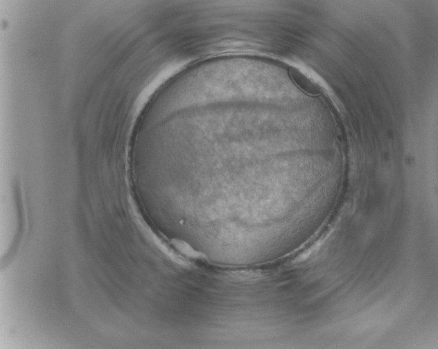 X0000075891333200610062043