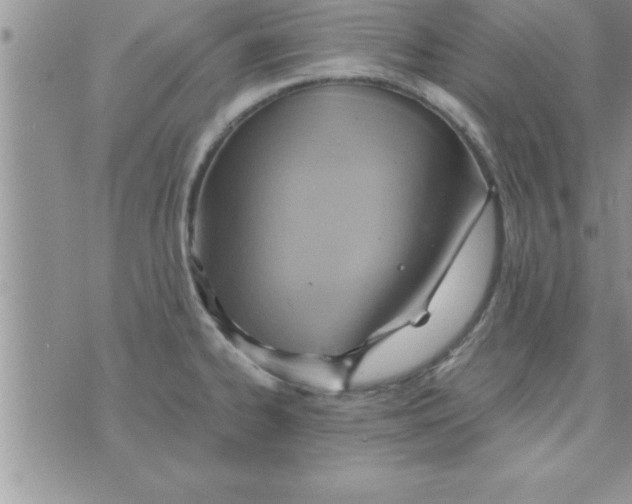 X0000075891334200610062043