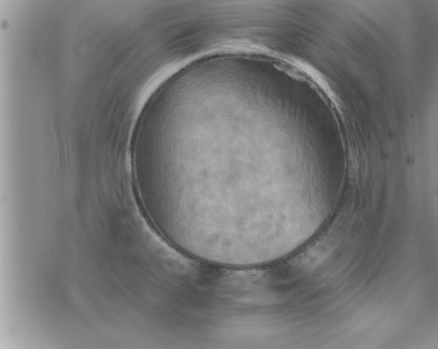 X0000075891335200610062043