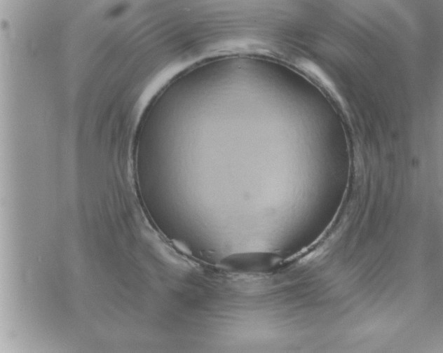 X0000075891336200610062043