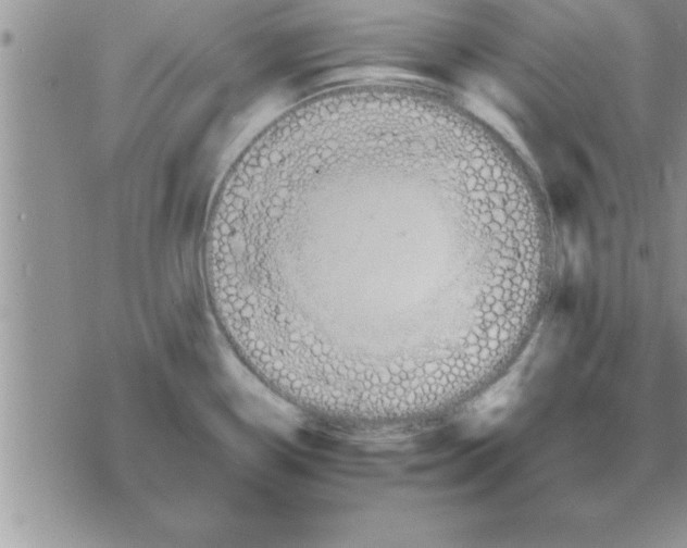 X0000075891338200610062043