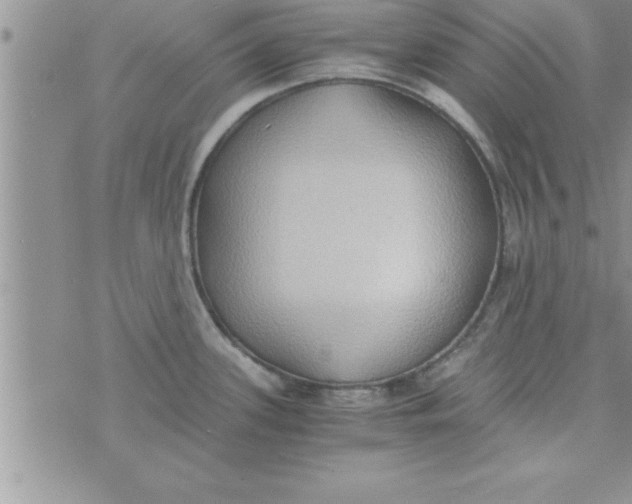 X0000075891339200610062043