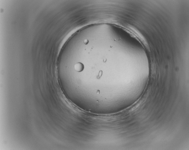 X0000075891340200610062043