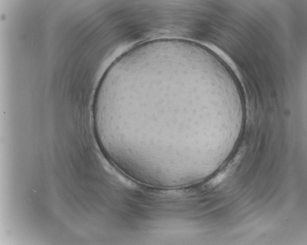 X0000075891341200610062043