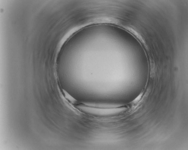 X0000075891342200610062043