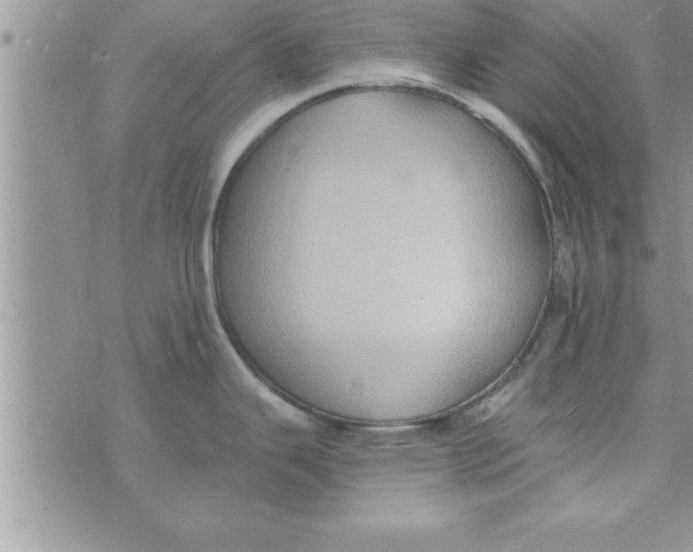 X0000075891343200610062043