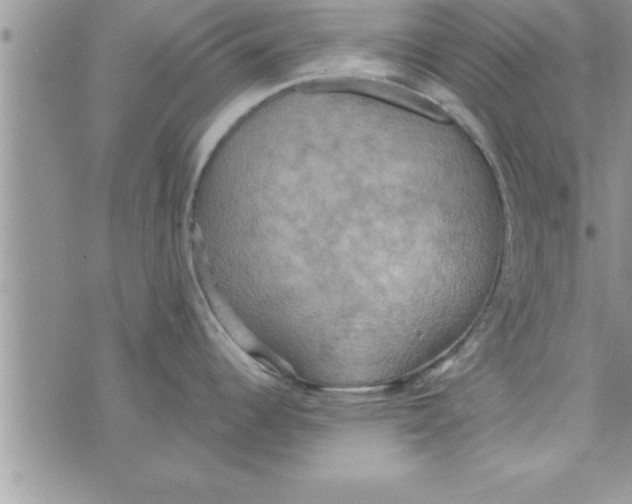 X0000075891344200610062043