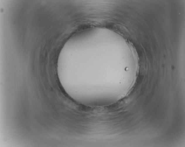 X0000075891345200610062042