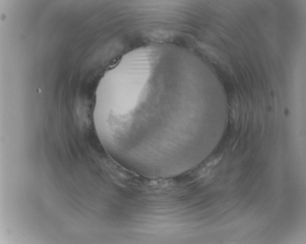 X0000075891346200610062042