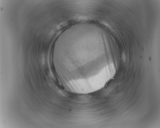 X0000075891348200610062042