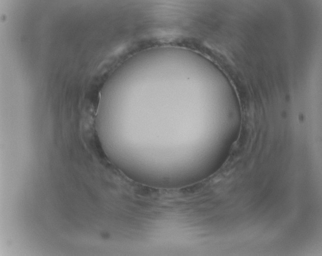 X0000075891349200610062042