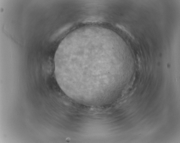 X0000075891350200610062042