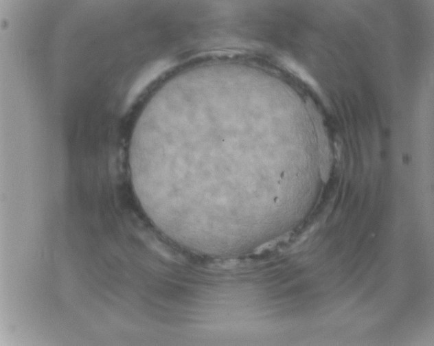 X0000075891352200610062042