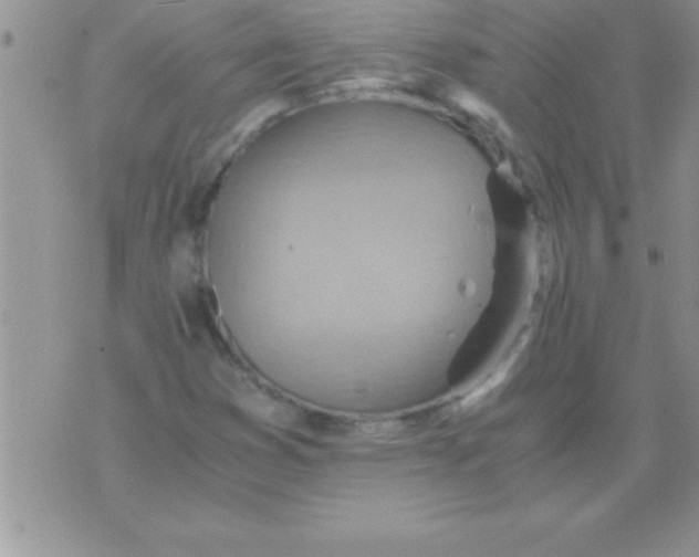 X0000075891353200610062042