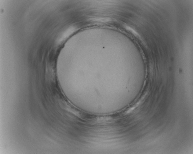 X0000075891354200610062042