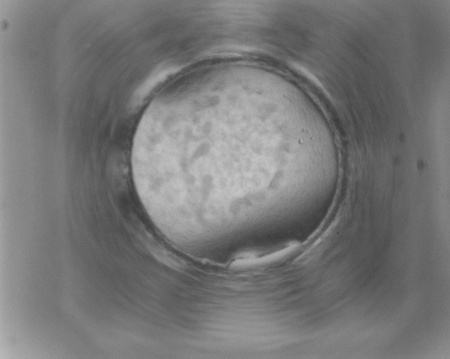 X0000075891355200610062042