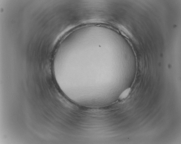 X0000075891356200610062042