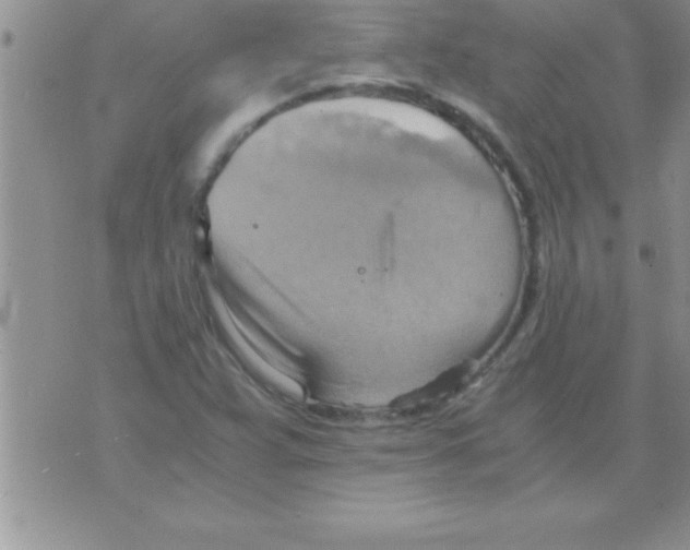 X0000075891359200610062042