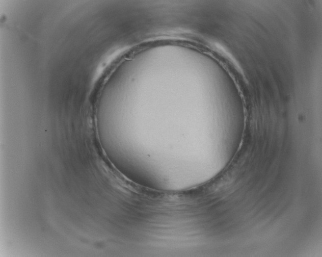 X0000075891360200610062042