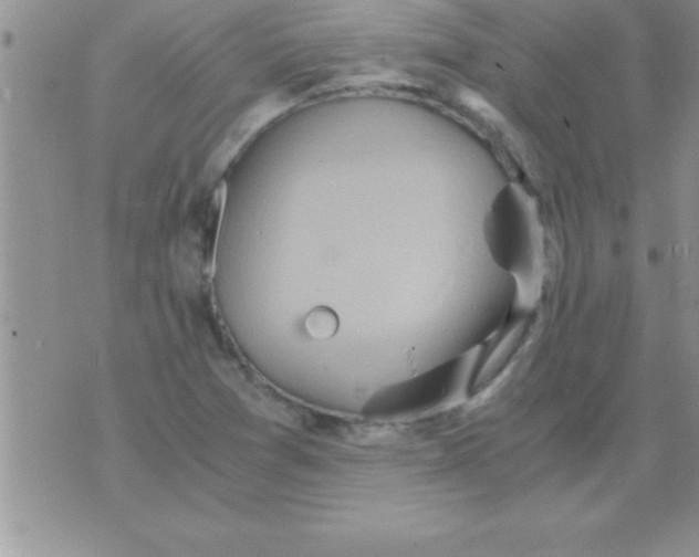 X0000075891361200610062042