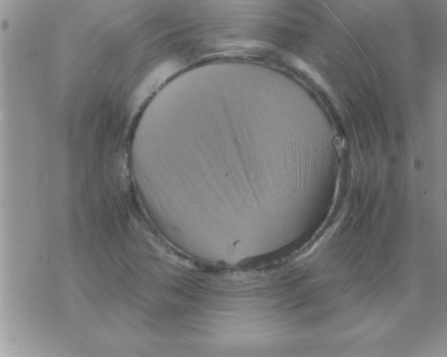 X0000075891362200610062042