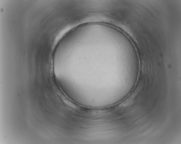 X0000075891366200610062042