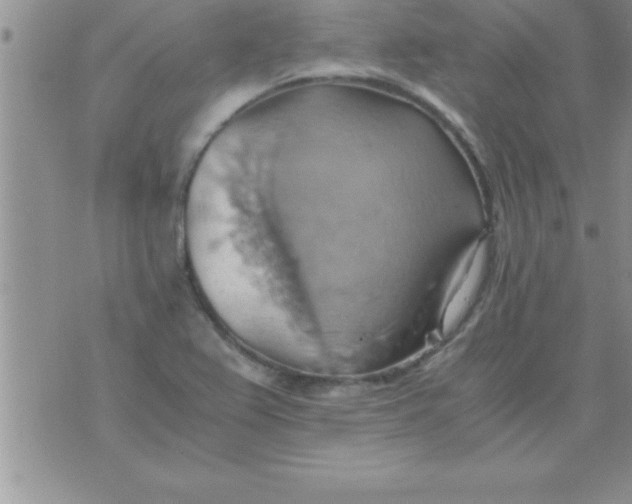 X0000075891367200610062042