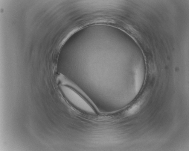 X0000075891369200610062042