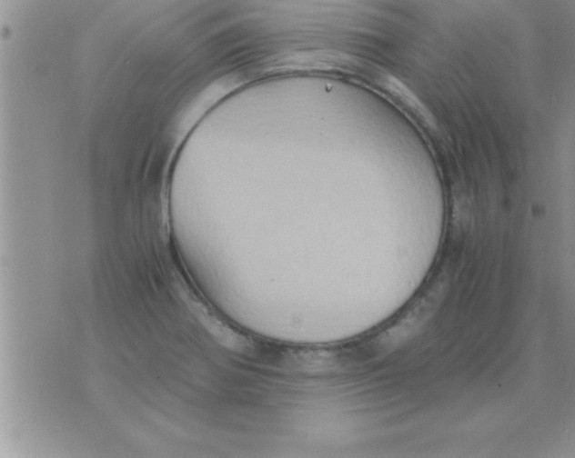 X0000075891370200610062042