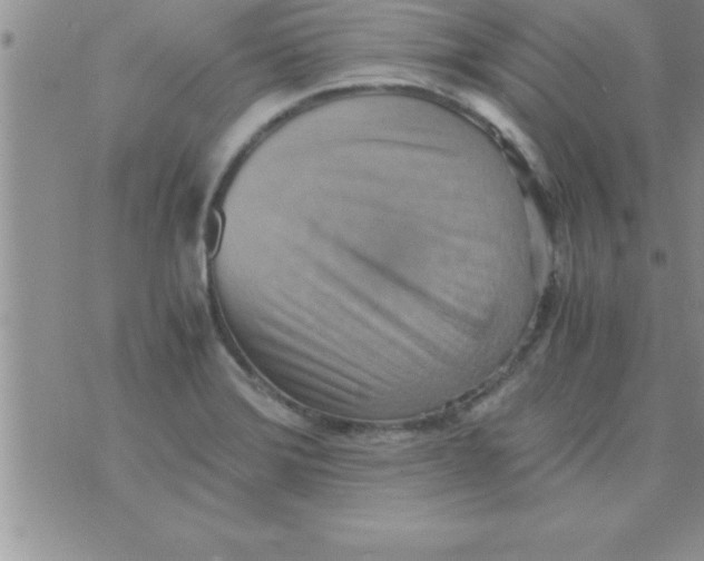 X0000075891372200610062042