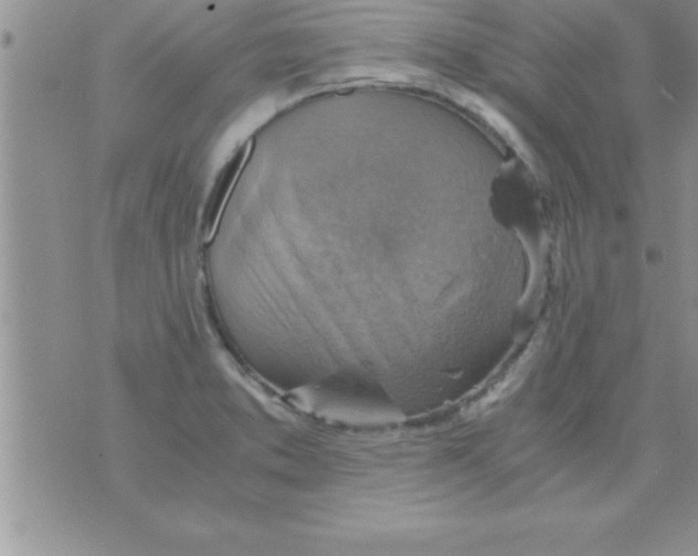 X0000075891373200610062042