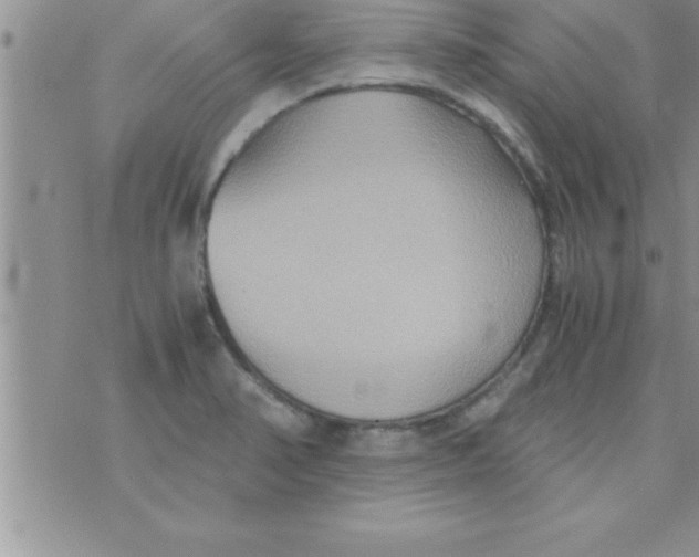 X0000075891374200610062042