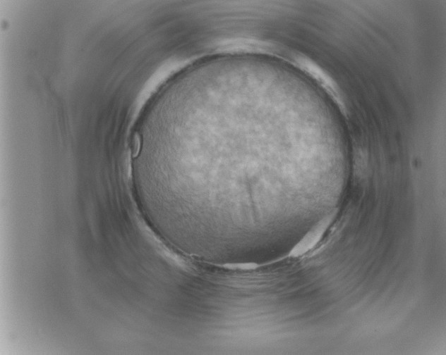 X0000075891376200610062042