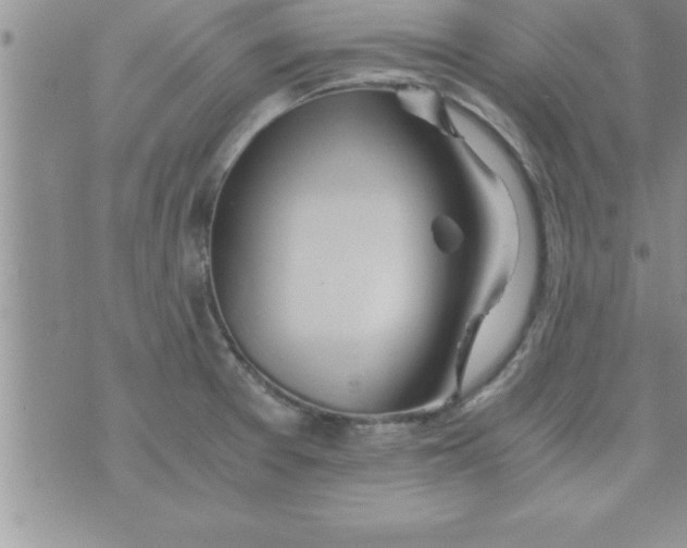 X0000075891377200610062042