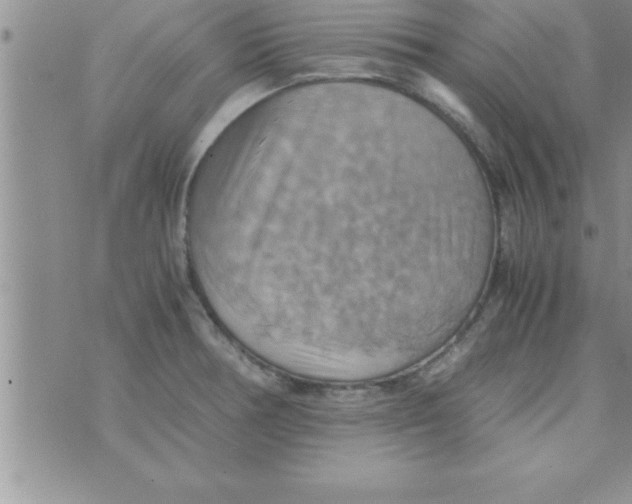 X0000075891378200610062042