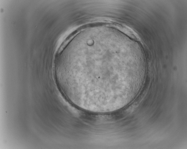 X0000075891379200610062042