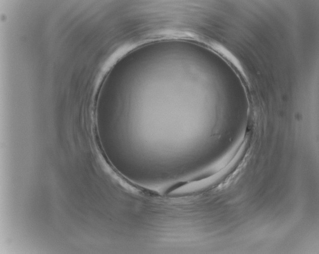 X0000075891381200610062042