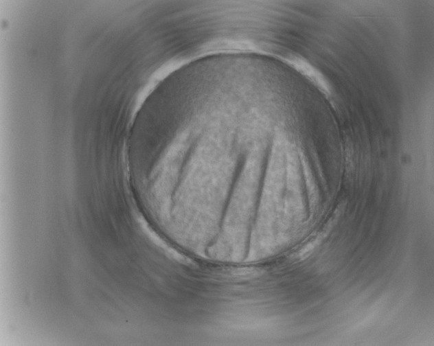 X0000075891382200610062042