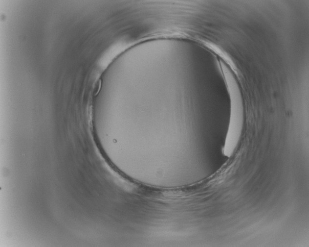 X0000075891383200610062042