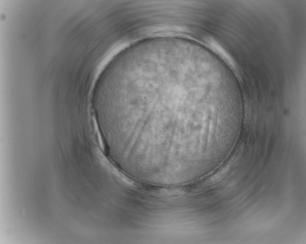 X0000075891384200610062042