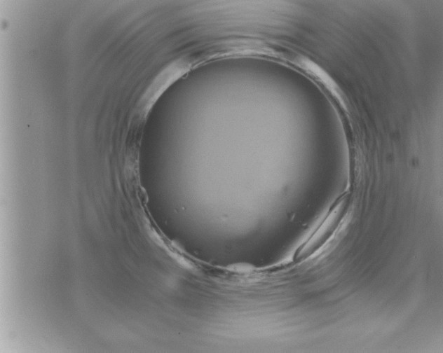 X0000075891385200610062042