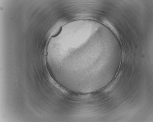 X0000075891386200610062042